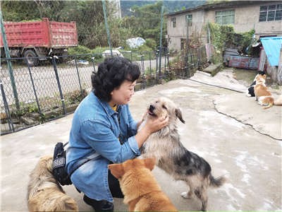 流浪猫狗在贵阳救助基地里的故事——生活对它们如此残酷还好有人继续给予它们温暖